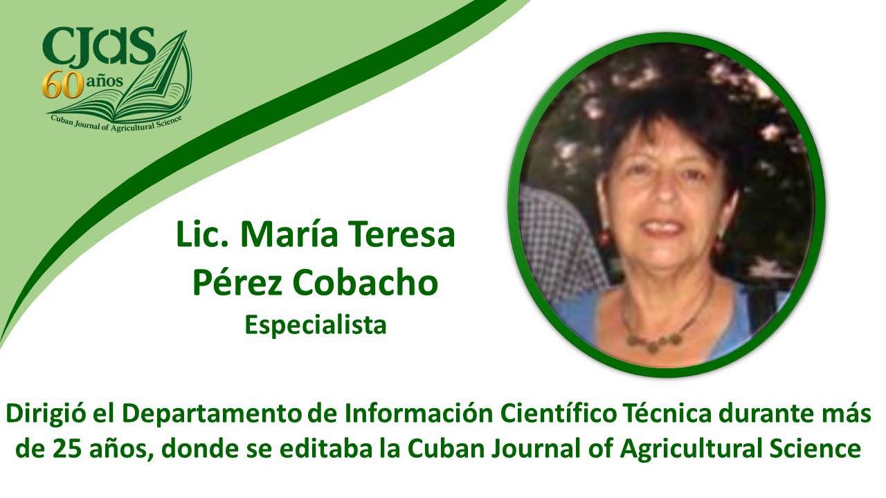 Empresa Tecnológica