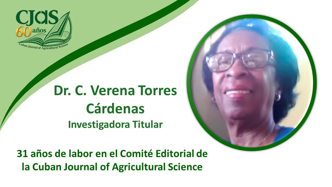 Empresa Tecnológica